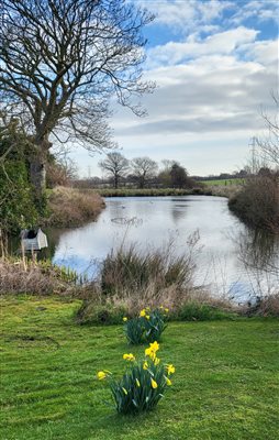 View of the moat from the units